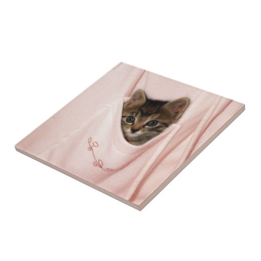 Per Anhalter fahren Fliese (Seite)