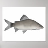 Perch Poster (Vorne)