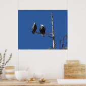 Perched Bald Eagles Poster (Küche)