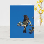 Perched Fly Catcher Karte (Gelbe Blume)