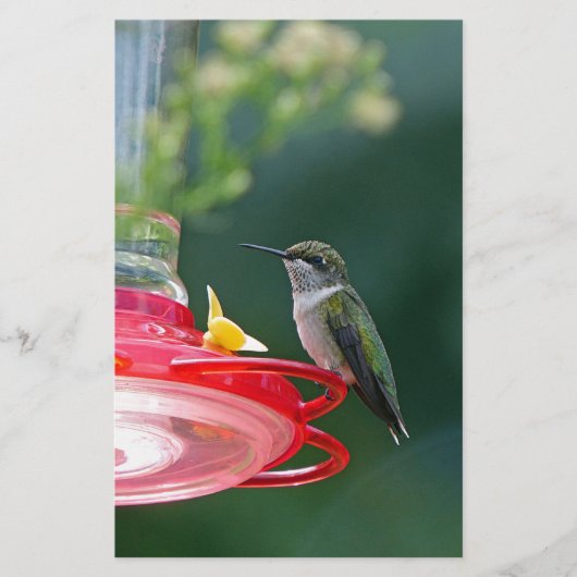 Perched Hummingbird Briefpapier (Vorderseite)