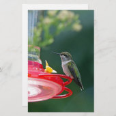 Perched Hummingbird Briefpapier (Vorne/Hinten)