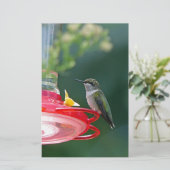 Perched Hummingbird Briefpapier (Stehend Vorderseite)