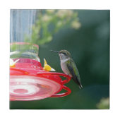 Perched Hummingbird Fliese (Vorderseite)
