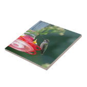 Perched Hummingbird Fliese (Seite)