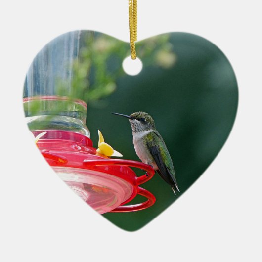 Perched Hummingbird Keramik Ornament (Vorne)