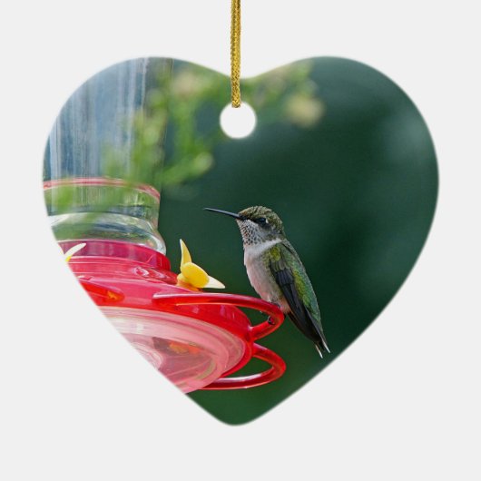 Perched Hummingbird Keramik Ornament (Hinten)