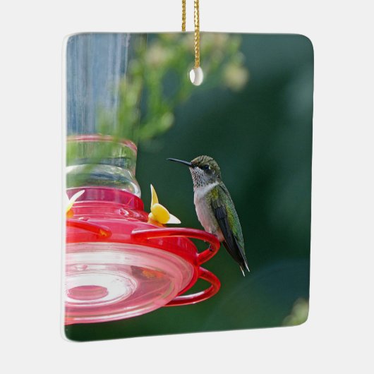 Perched Hummingbird Keramikornament (Rechts)
