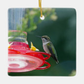 Perched Hummingbird Keramikornament (Vorderseite)