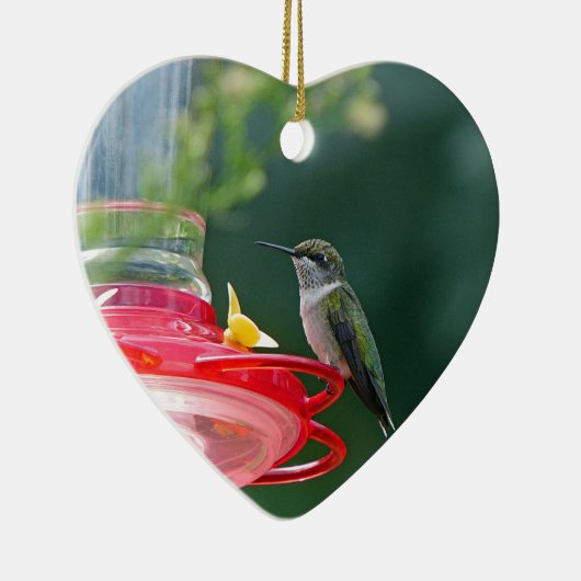 Perched Hummingbird Keramikornament (Rechts)