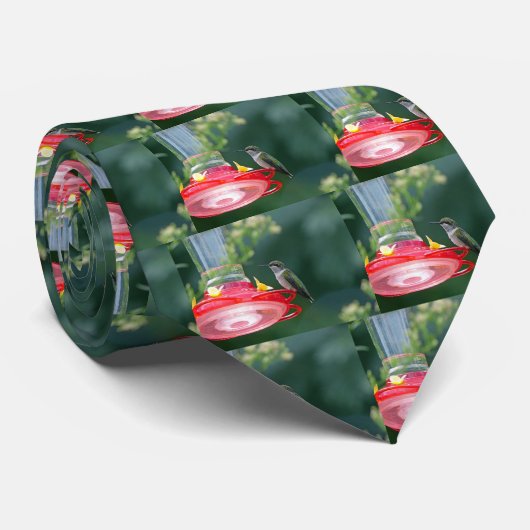 Perched Hummingbird Krawatte (Gerollt)