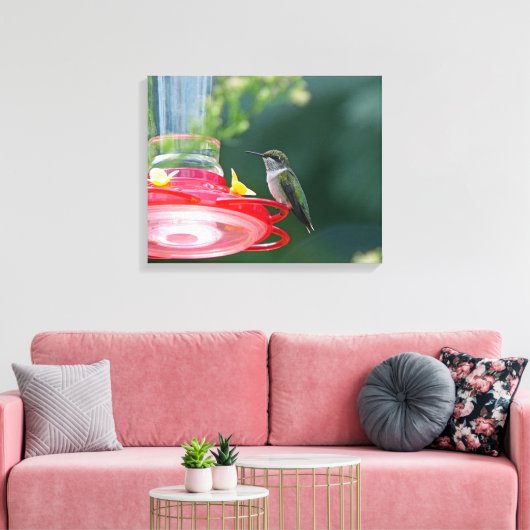 Perched Hummingbird Leinwanddruck (Insitu (Wohnzimmer))