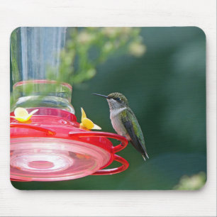 Perched Hummingbird Mousepad