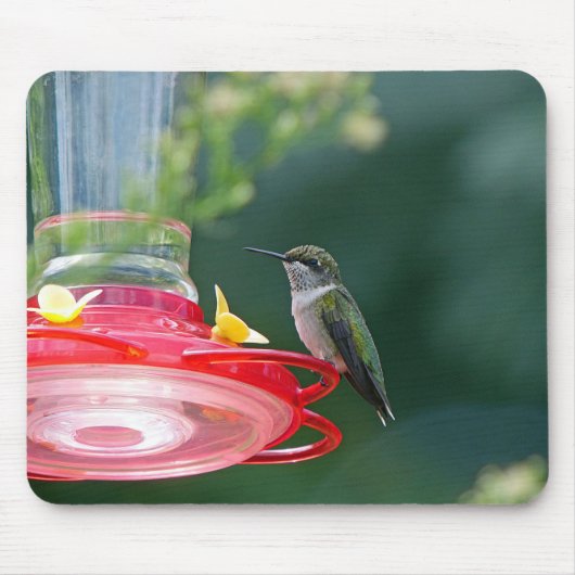 Perched Hummingbird Mousepad (Vorne)