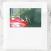 Perched Hummingbird Rechteckiger Aufkleber (Tasche)