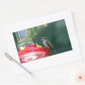 Perched Hummingbird Rechteckiger Aufkleber (Umschlag)