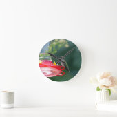 Perched Hummingbird Runde Wanduhr (Zuhause)