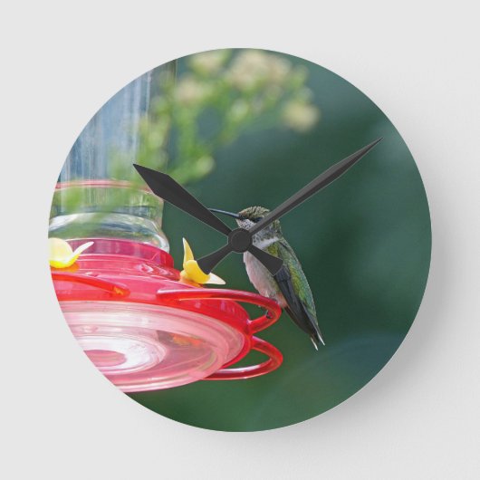Perched Hummingbird Runde Wanduhr (Vorderseite)