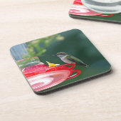Perched Hummingbird Untersetzer (Linke Seite)