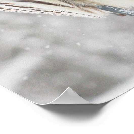 Perched Owl - Poster (Ecke)