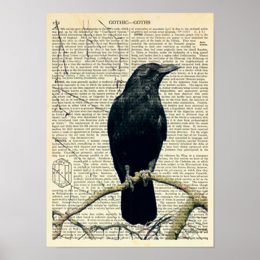 Perched Raven, Crow, Edgar Allan Poe, Gothic Poster (Vorne)