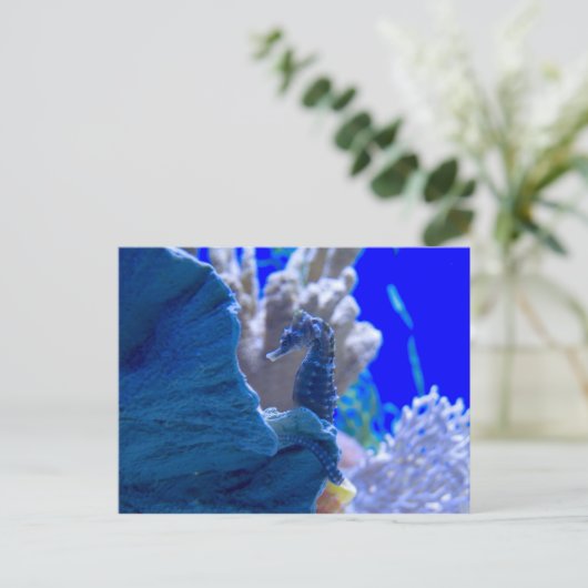 Perched-Seepferd Postkarte (Stehend Vorderseite)