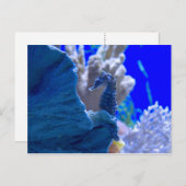 Perched-Seepferd Postkarte (Vorne/Hinten)