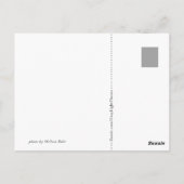 Perched-Seepferd Postkarte (Rückseite)