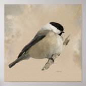 Perched Willow Tit Poster (Vorne)