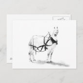 Percheron Draft Horse Equine Art Postcard Postkarte (Vorne/Hinten)