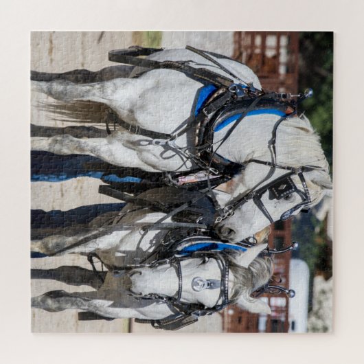 Percheron Draft Horse Puzzle (Horizontal)