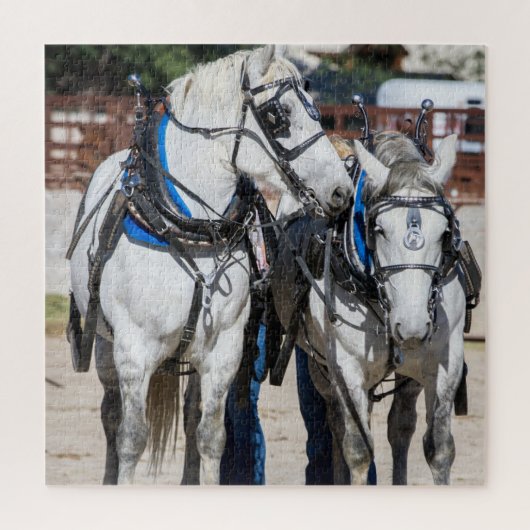 Percheron Draft Horse Puzzle (Vertikal)