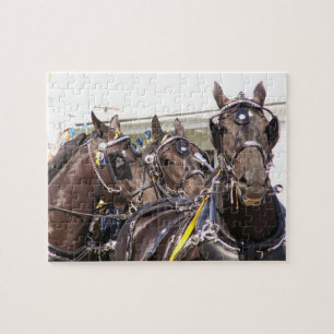 Percheron Draft Horse Puzzle