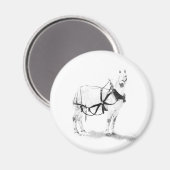 Percheron Entwurf von Magneten für PferdeEquinen Magnet (Vorderseite/Rückseite)