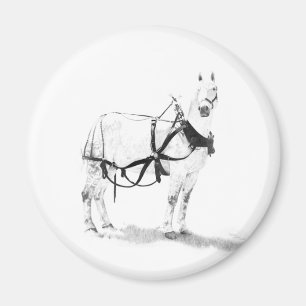 Percheron Entwurfs-Pferdepferdeartige Magnet