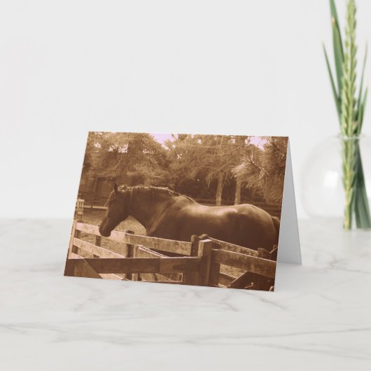 Percheron Grußkarte Karte (Vorderseite)