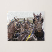 Percheron Horse Puzzle (Horizontal)