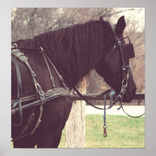 Percheron, Imitate Vintag Poster