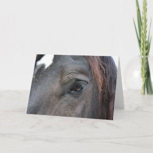 Percheron-Pferdegrüßkarte Karte