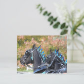 Percheron-Postkarte Postkarte (Stehend Vorderseite)