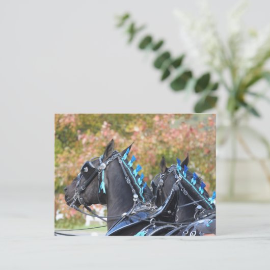 Percheron-Postkarte Postkarte (Stehend Vorderseite)