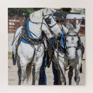Percheron Puzzle