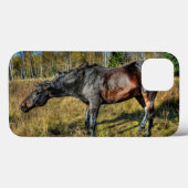 Percheron, schwarz gekreuzt, Zittern vom Wasser Case-Mate iPhone Hülle (Rückseite (Horizontal))