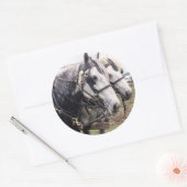 Percheron Tandem Runder Aufkleber (Umschlag)