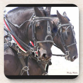 Percheron Team-Untersetzer Getränkeuntersetzer (Vorderseite)