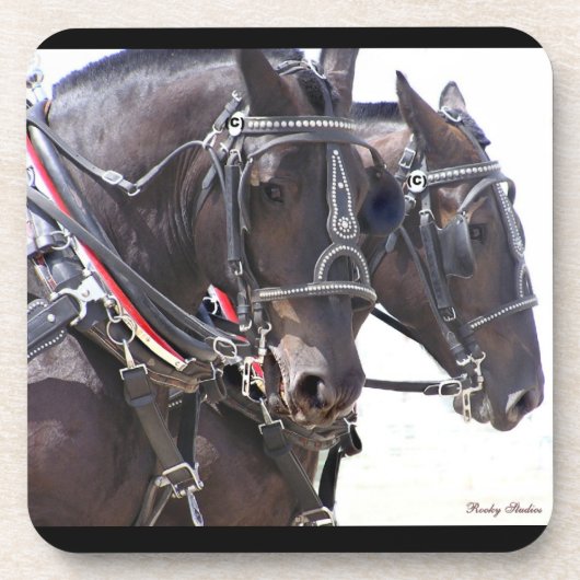 Percheron Team-Untersetzer Getränkeuntersetzer (Vorderseite)