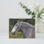 Percheron-Zugpferd Postkarte (Stehend Vorderseite)