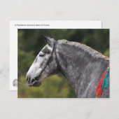 Percheron-Zugpferd Postkarte (Vorne/Hinten)