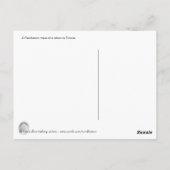 Percheron-Zugpferd Postkarte (Rückseite)