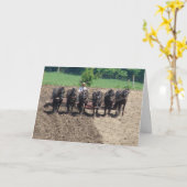 Percherons am Arbeitsplatz Karte (Gelbe Blume)